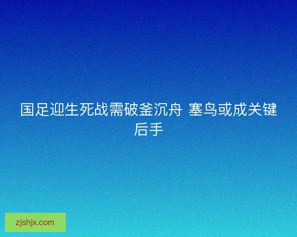 国足迎生死战需破釜沉舟 塞鸟或成关键后手