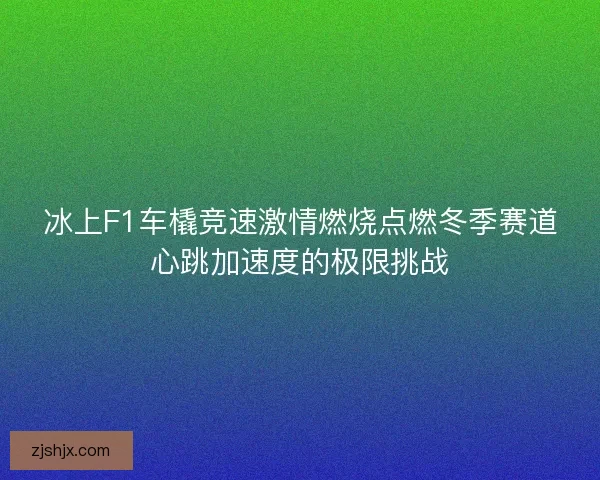 冰上F1车橇竞速激情燃烧点燃冬季赛道心跳加速度的极限挑战